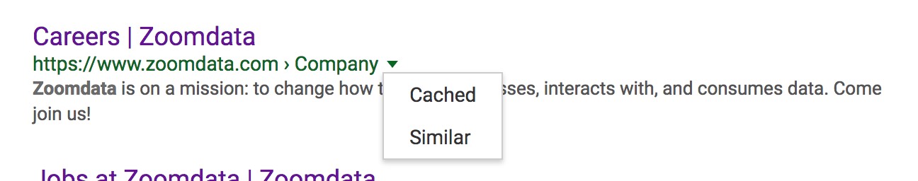 Search listing Google Cache/Related Links