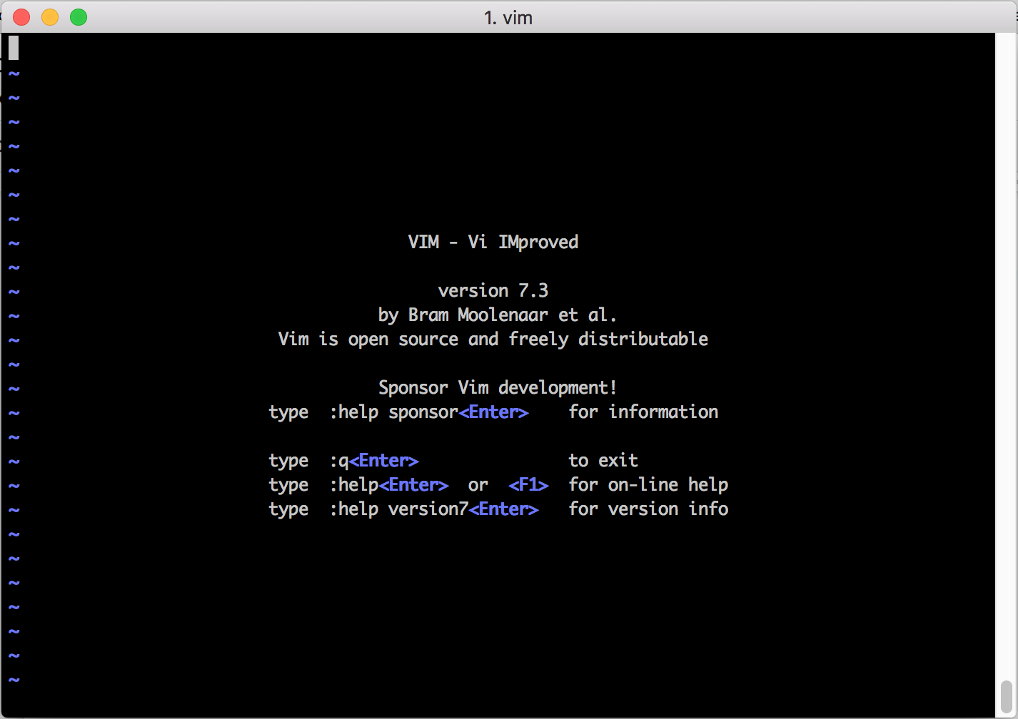 vi Screen Capture