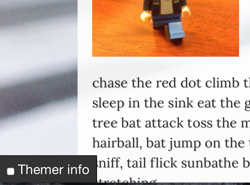 Check on the Themer Info Checkbox
